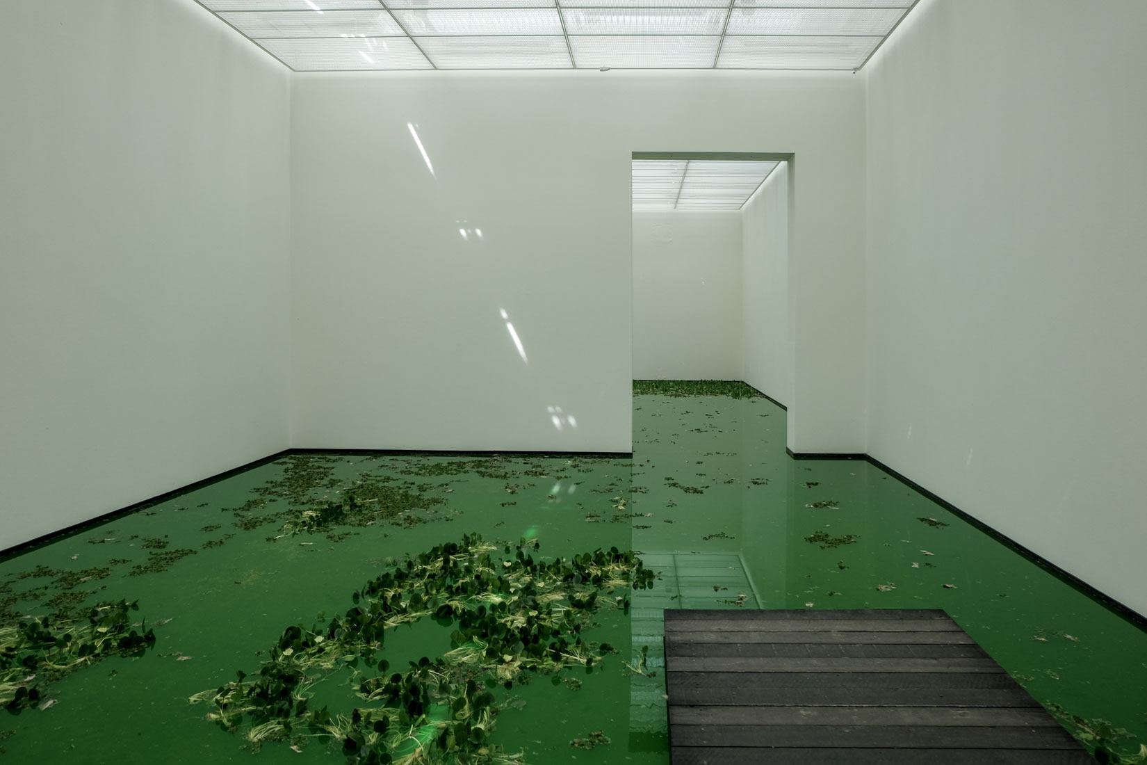 Renzo Piano - Fondation Beyeler Museum