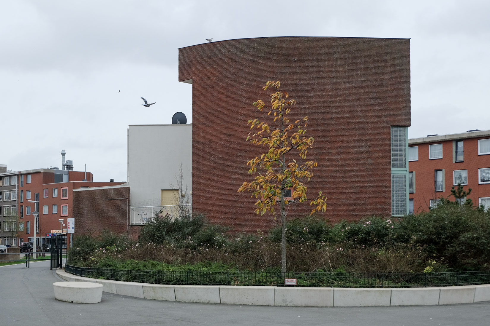 Alvaro Siza - Two Houses Schilderswijk