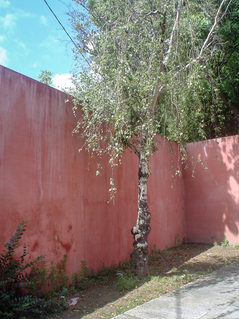 Fernando Tvora - Fernando Tvora - Quinta da Conceio