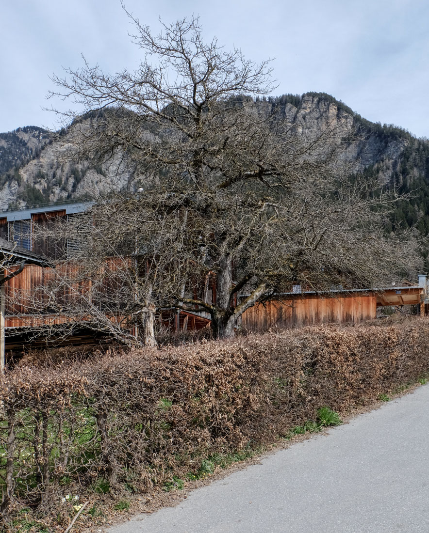 Bearth & Deplazes - Hirsbrunner House Scharans