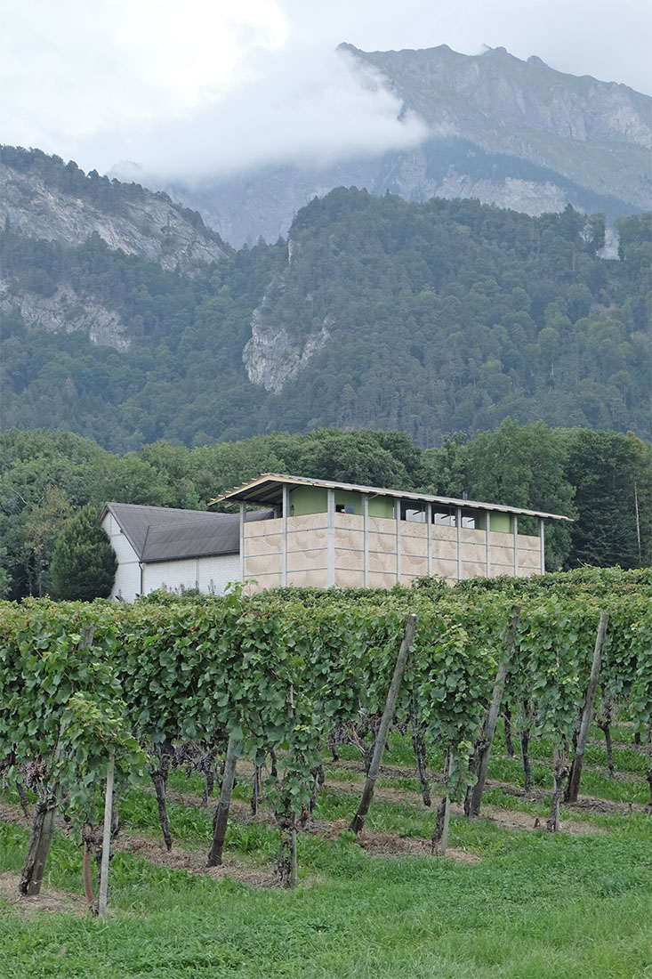 Bearth & Deplazes - Gantenbein Vineyard Flsch