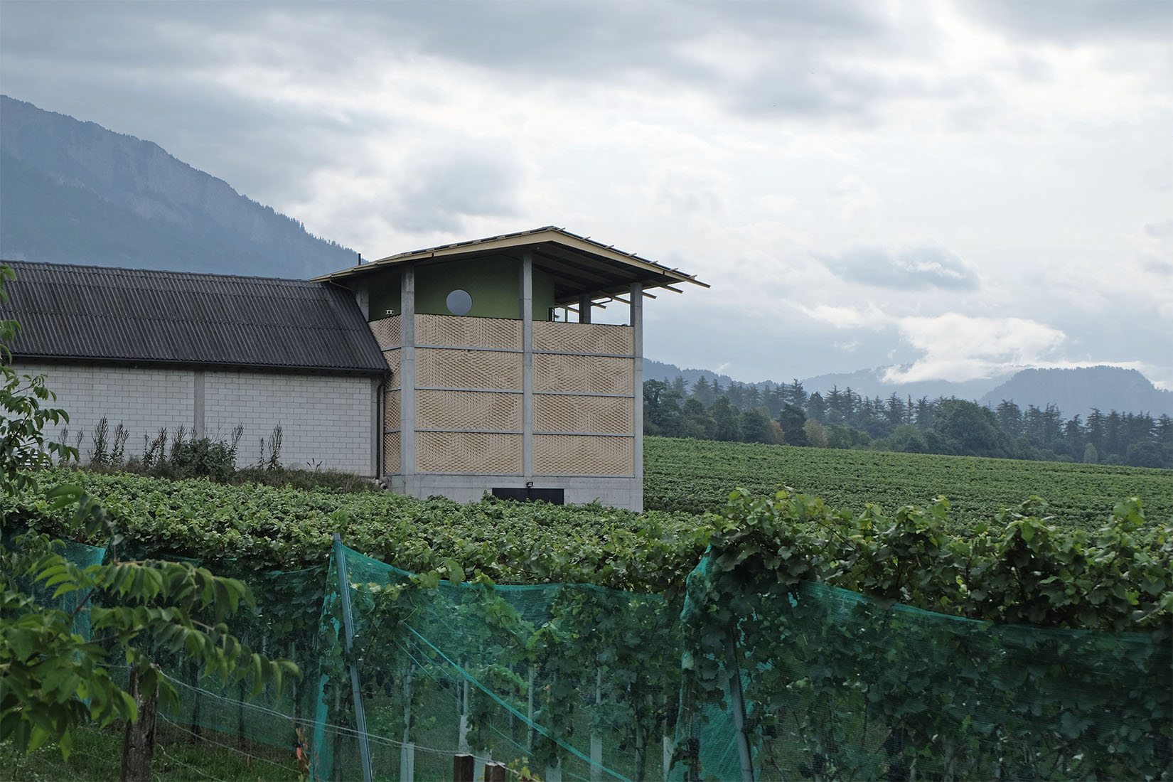 Bearth & Deplazes - Gantenbein Vineyard Flsch