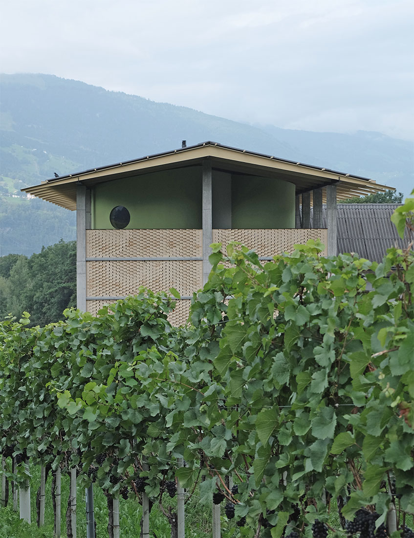 Bearth & Deplazes - Gantenbein Vineyard Flsch
