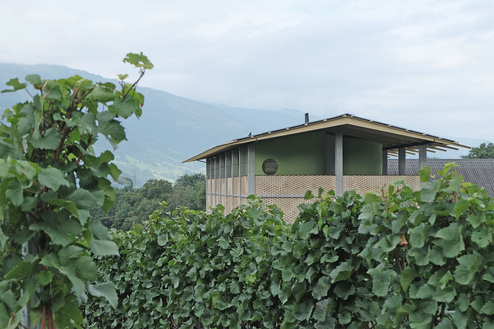 Bearth & Deplazes - Gantenbein Vineyard Fläsch