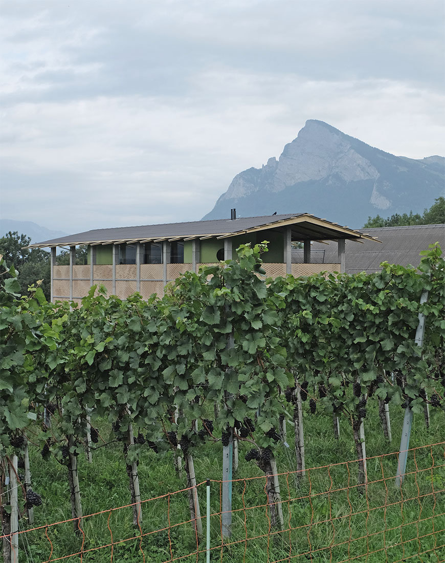 Bearth & Deplazes - Gantenbein Vineyard Fläsch