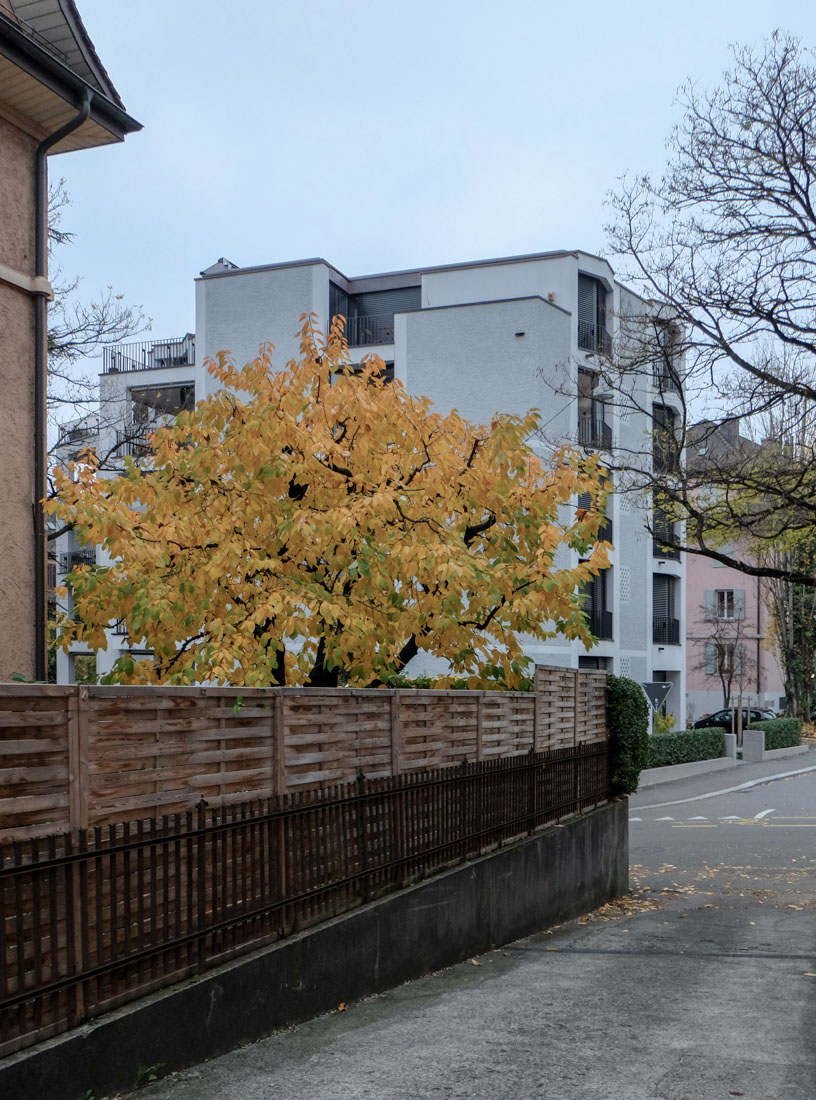 EMI - Apartment Building Geibelstrasse