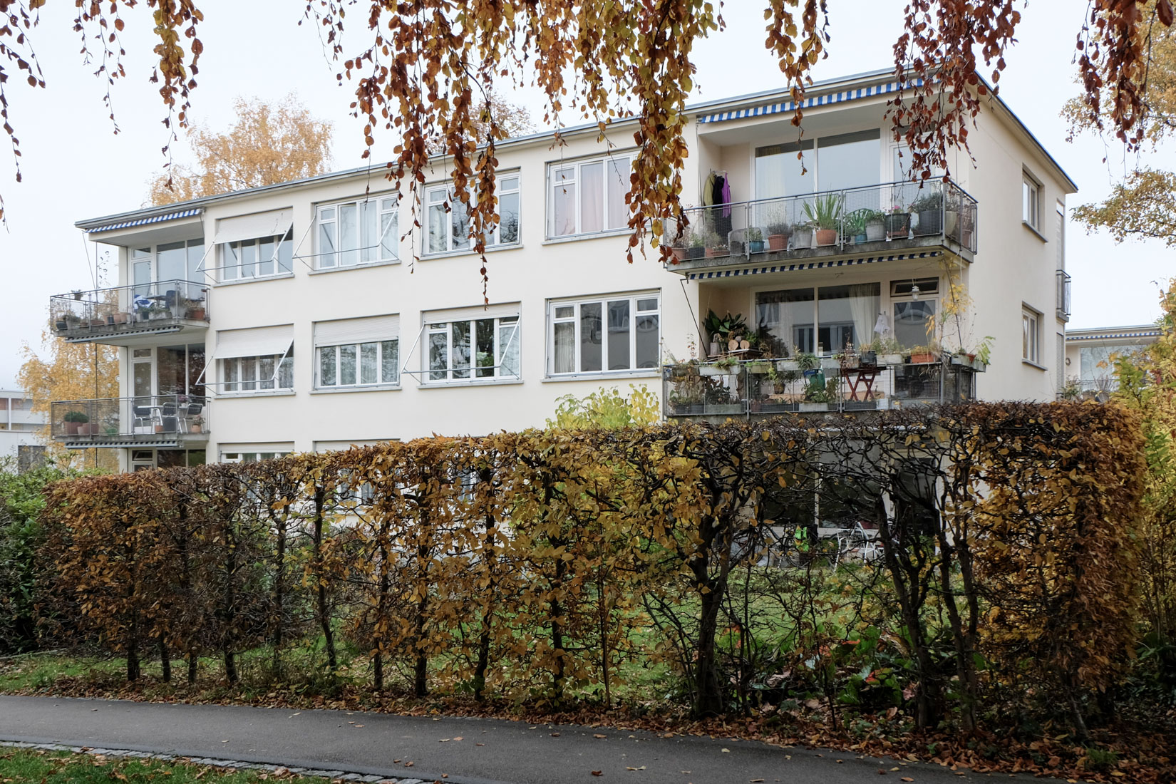 Haefeli Moser Steiger - Werkbundsiedlung Neubhl