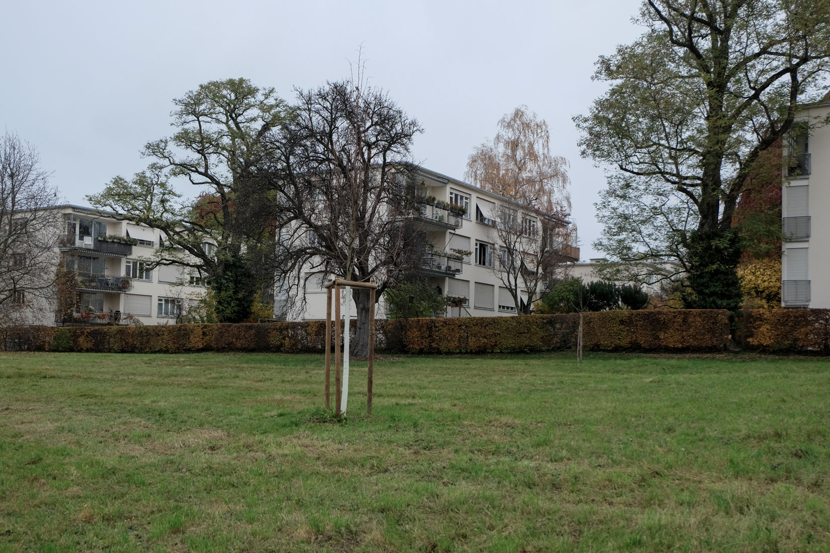 Haefeli Moser Steiger - Werkbundsiedlung Neubhl