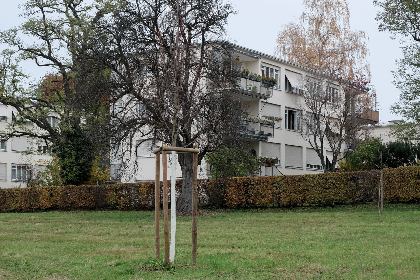Haefeli Moser Steiger - Werkbundsiedlung Neubhl