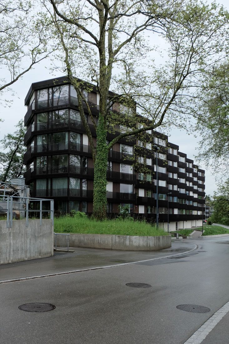 Morger Dettli Architekten - Apartmentbuilding
                Hertweiher Uster