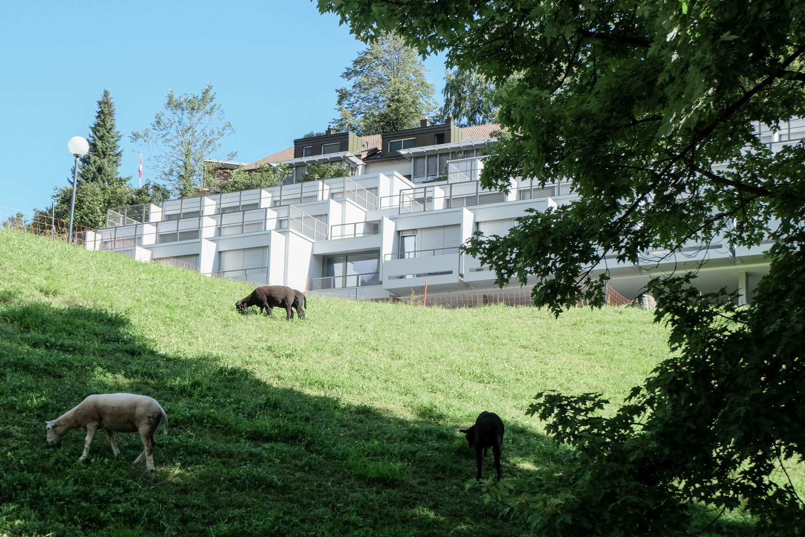 Jakob Zweifel - Staff Terrace House Hospital Glarus