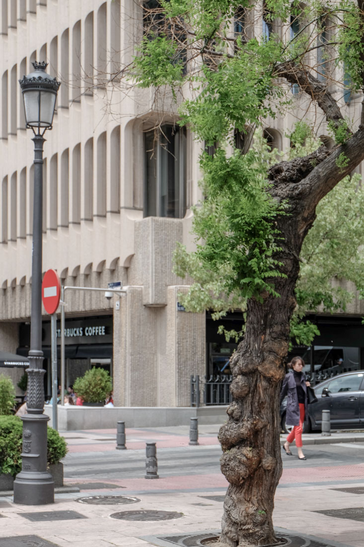 Eleuterio Poblacin Knappe - Edificio Beatriz Madrid